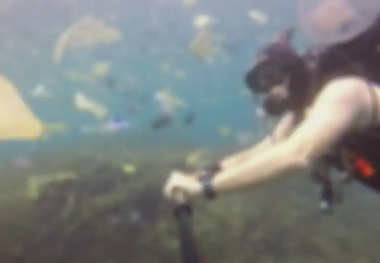 Video Turis Asal Inggris Menyelam untuk Melihat Pari Manta di Nusa Penida Ini Bakal Bikin Kita Mengelus Dada, Malu!