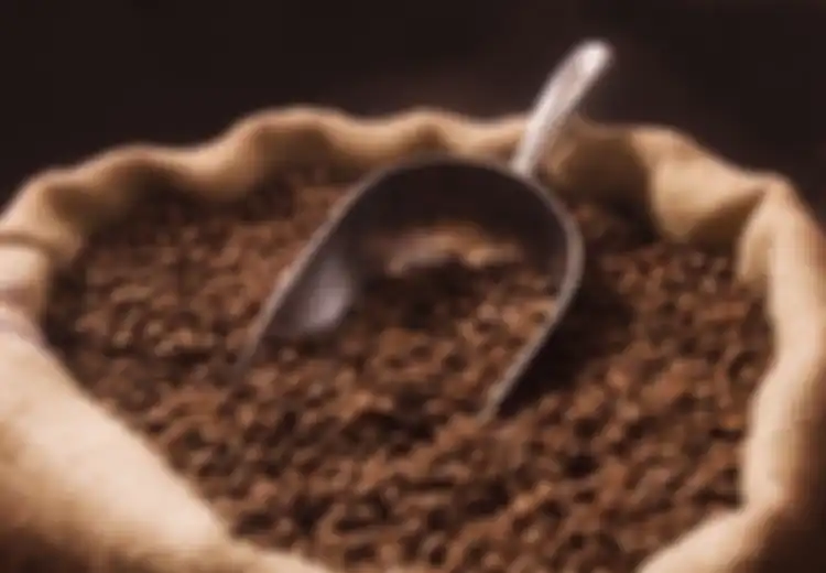 Kopi Membantu Ketergantungan pada Kokain