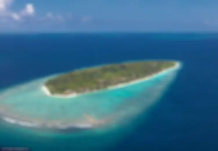 Jika Beli Rumah Terlalu 'Mainstream', Yuk Coba Beli Pulau! Ini Daftar Pulau Eksotis yang Bisa Anda Miliki!