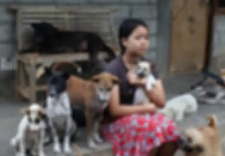  Gadis Bali Pelihara 39 Anjing, Dulu Pernah Koma dan Dokter Angkat Tangan Mendadak Sembuh Karena Dijilat Anjing Hitam