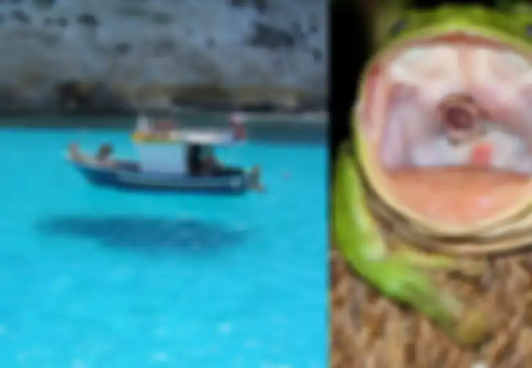 (FOTO) Bukan Editan Photoshop, 8 Foto Mengagumkan Ini Asli Tanpa Rekayasa