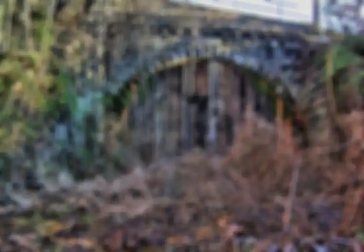 Terowongan Ini Penuh Aura Mistis, dari Hantu hingga Vampir! Berani Lewat?