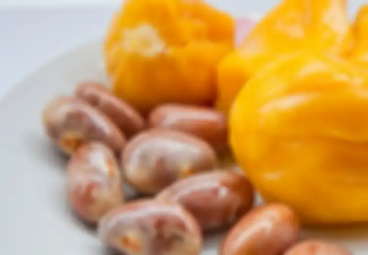 Mulai Sekarang Jangan Buang Biji Nangka! Sebab Ia Bisa Digunakan Sebagai Obat Kanker Lho!