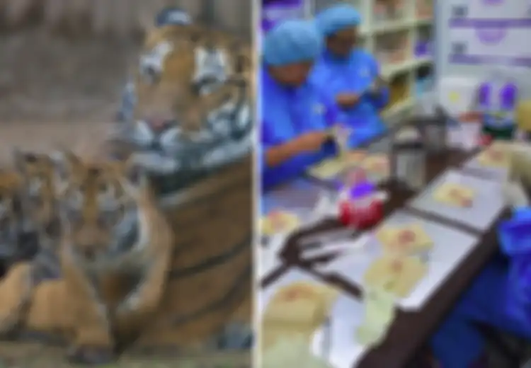 Hasil Riset Ilmuwan: di Masa Depan Manusia Dapat Memakan Hewan yang Sudah Punah
