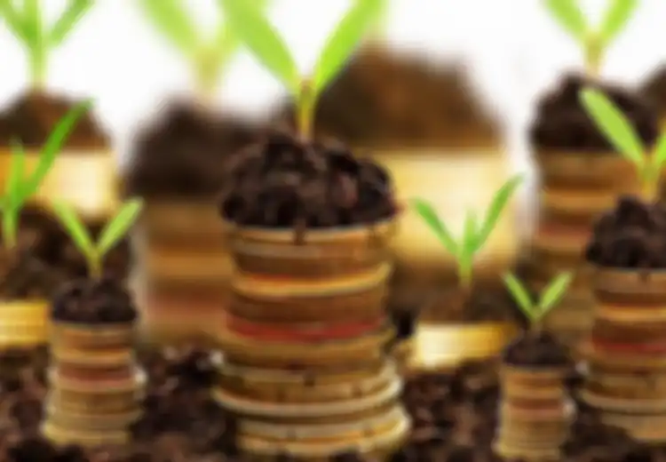 Investasi yang Cocok Untuk Mahasiswa