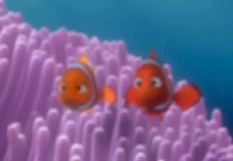 Kenali Hewan Laut di Film Finding Dory: 5 Fakta Menarik dari Ikan Badut