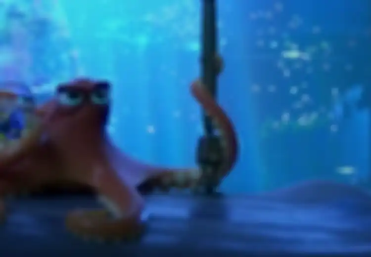 Mari Mengenal 4 Hewan Laut Ini di Film Finding Dory (1)