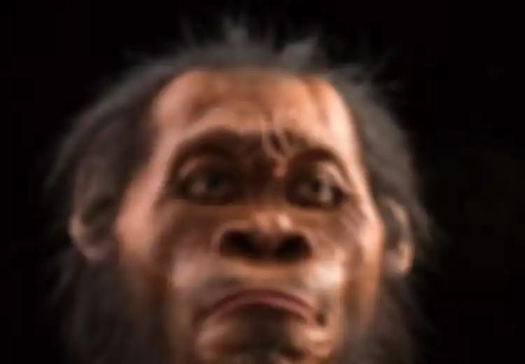 10 Spesies Terbaru yang Ditemukan Tahun 2016: Kura-kura Raksasa dan Homo naledi
