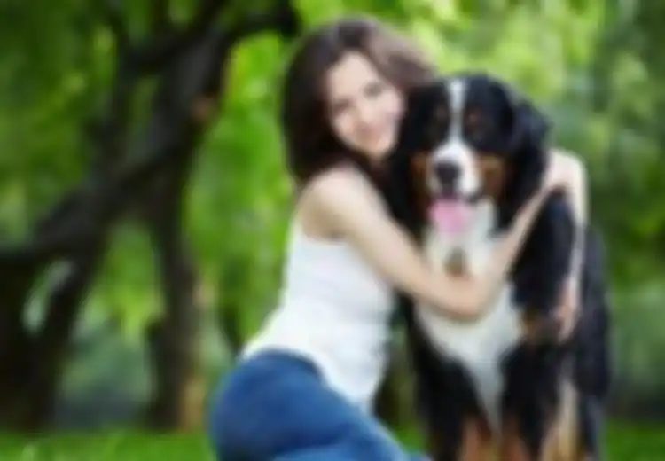 Terlalu Sering Memeluk Anjing Justru Bikin Mereka Jadi Stres