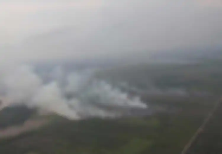 Ini Dampak Kabut Asap Terhadap Ekosistem Laut