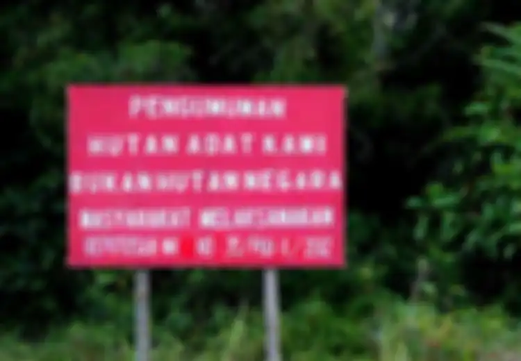 ForestDefender.org, Situs Online untuk Bantu Masyarakat Lokal