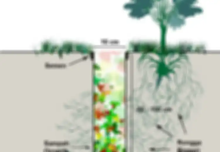 Cegah Banjir dan Kekeringan dengan Biopori