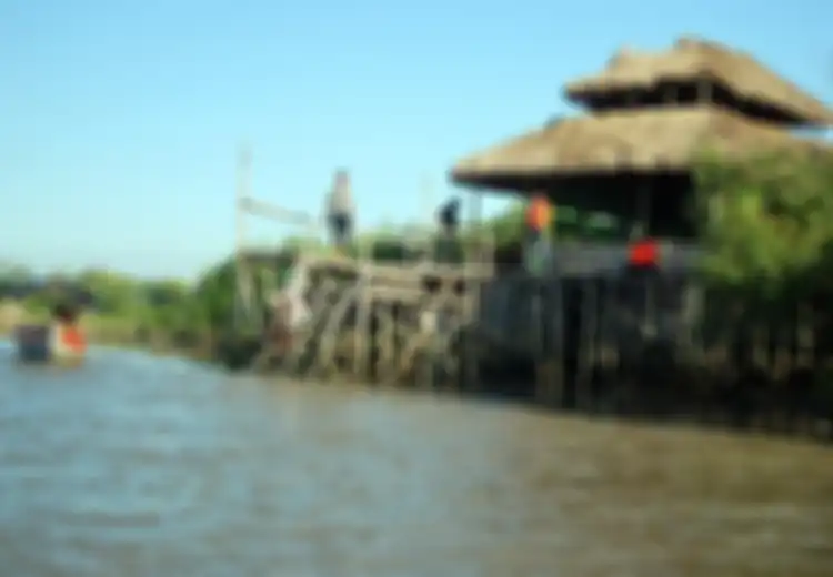 Habis Ditanam, Ya Mangrove Harus Dirawat