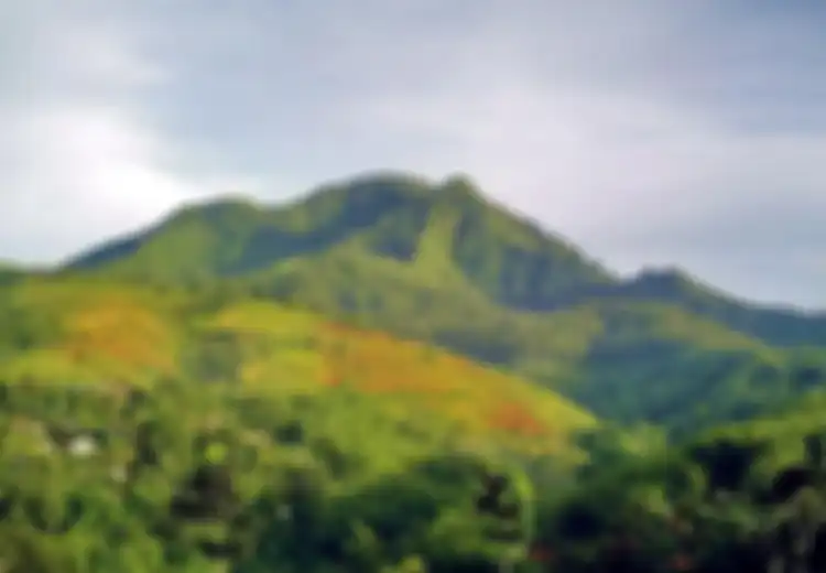 Menikmati Manglayang Sembari Berlari