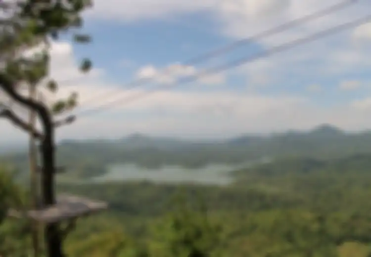 Yuk, Main Ke Waduk Sermo dan Hutan Kalibiru!