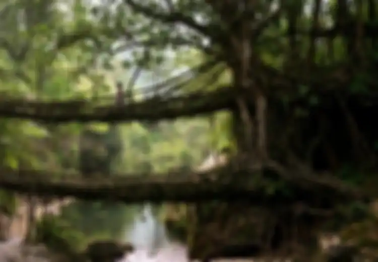 6 Jembatan Unik dan Indah (1)