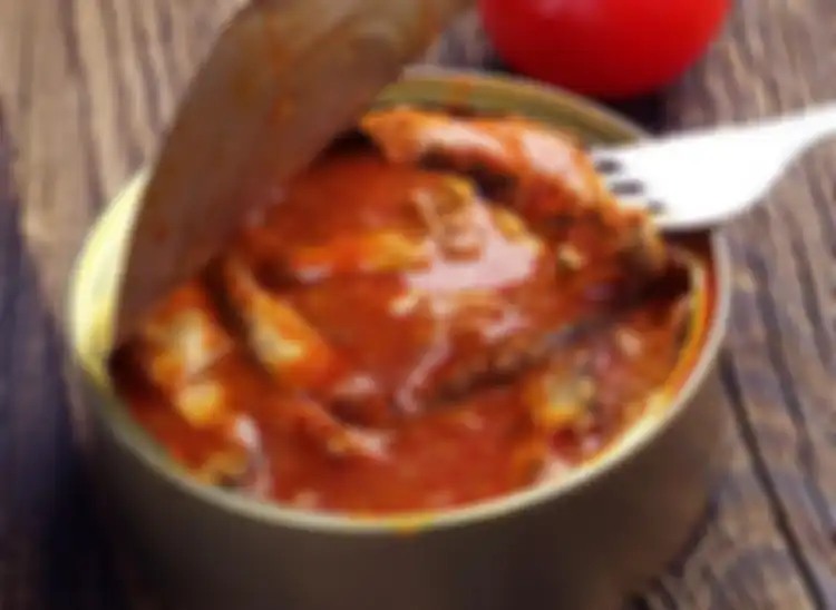 Ikan sarden kaleng