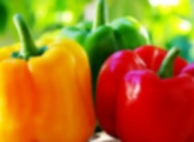Paprika miliki banyak manfaat luar biasa untuk tubuh