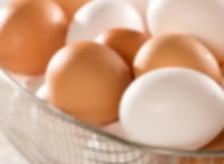 Jenis telur ayam yang bisa dibekukan 