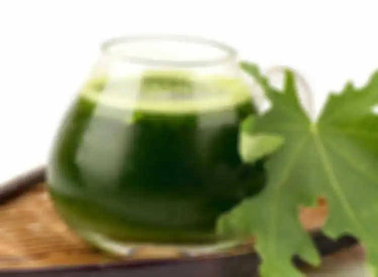 Jus daun pepaya