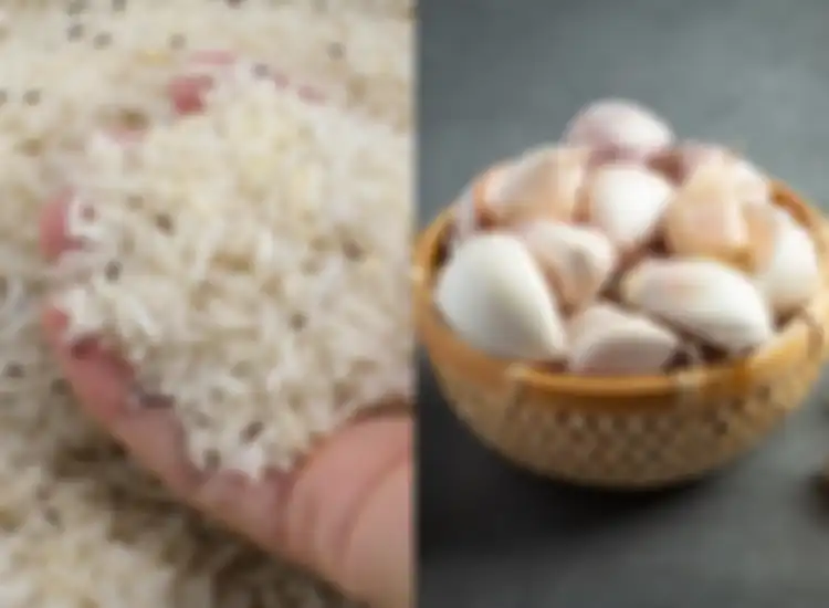 Cara basmi kutu beras yang ampuh bisa dengan menggunakan bawang putih.