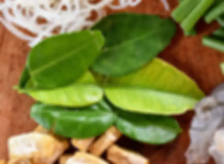 Daun jeruk yang harum ketika dimasak bisa didapatkan dengan cara ini