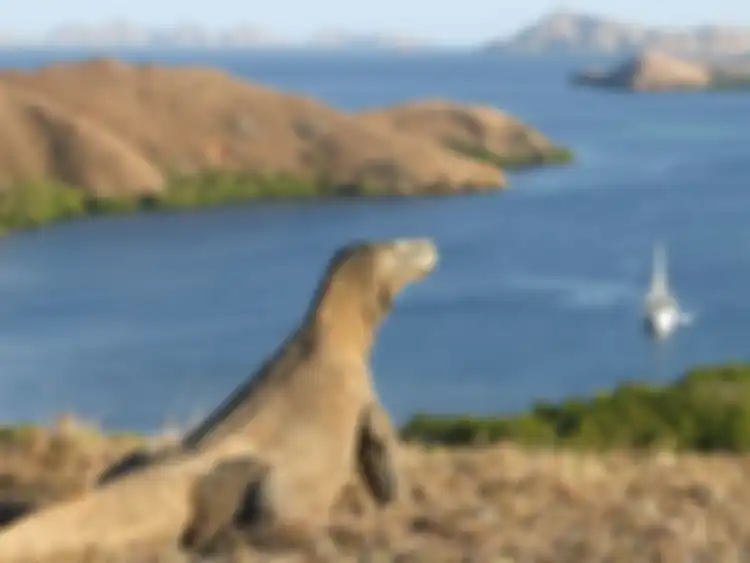 Pulau Komodo, Indonesia
