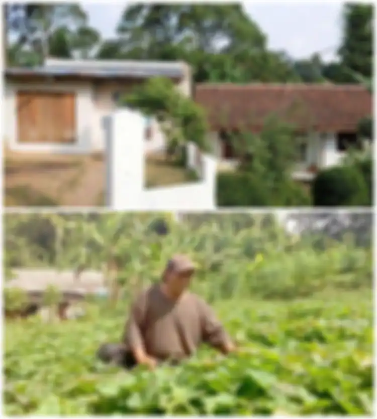 Rumah (Bogor)  dan ladang sayur milik Ken Ken