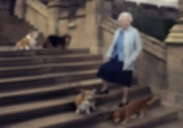 Queen Elizabeth II dan anjing peliharaannya