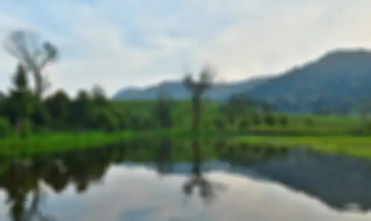 Telaga Saat, Cisarua Puncak Bogor.