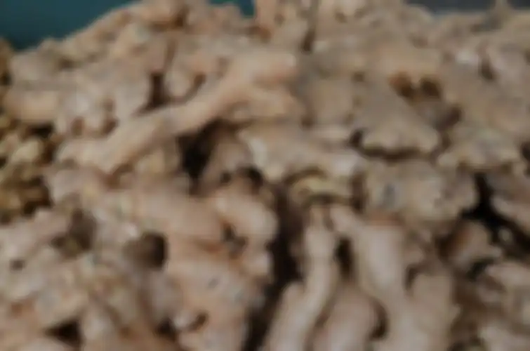 Selama ribuan tahun lebih jahe dipercaya sebagai obat herbal cegah sakit.