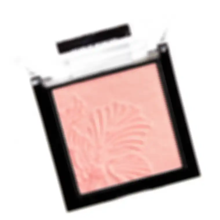 Wet n Wild