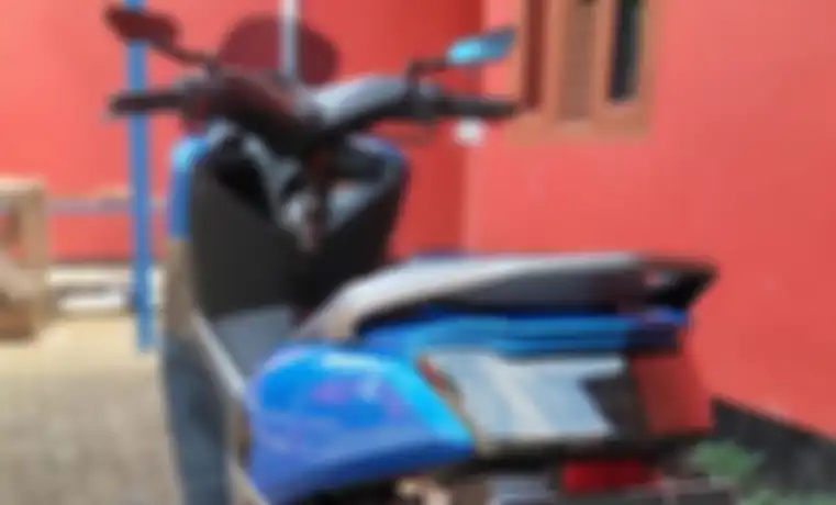 Spion Rizoma Circuit