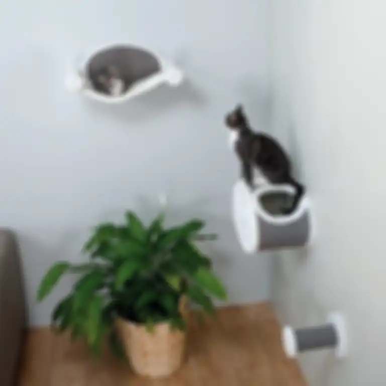 Furnitur modern untuk kucing peliharaanmu di rumah