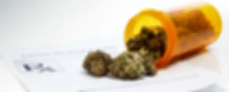 Ganja untuk penyakit bronkitis