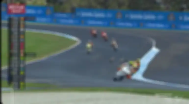 Burung tiba-tiba menyeberang saat P1 Moto2 Australia 2024 berlangsung.