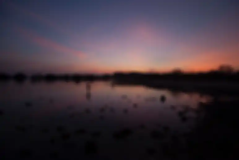 Senja di Taman Pendidikan Bakau Labuhan.