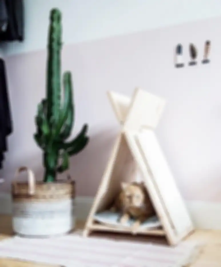 Feng shui menyebut 3 bahaya ini jika kita simpan kaktus di dalam rumah. Padahal tanaman ini bikin cantik foto interior. 