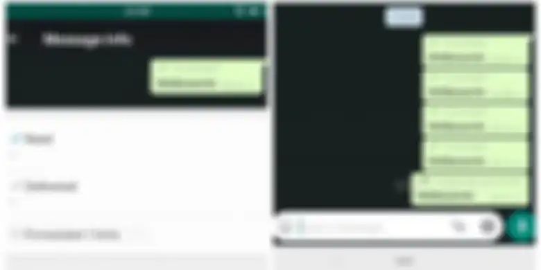 Ilustrasi fitur Forwarded Info dan fitur Frequently Forwarded WhatsApp