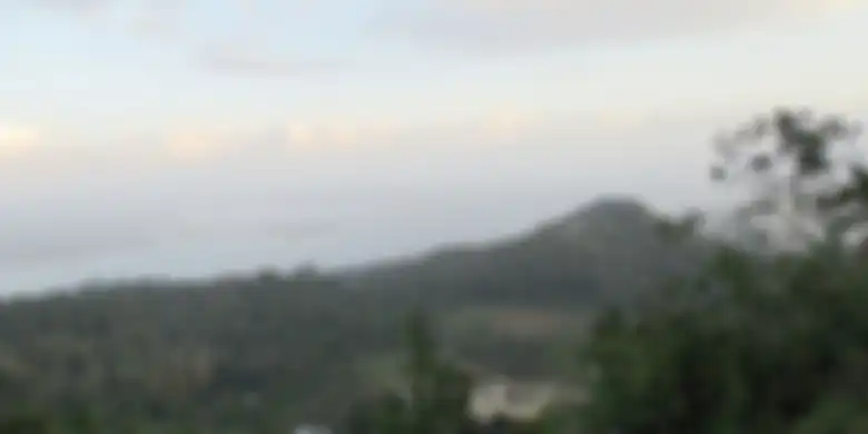 View dari Soko Gunung