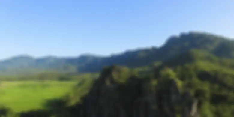 Pemandangan dari Gunung Sepikul