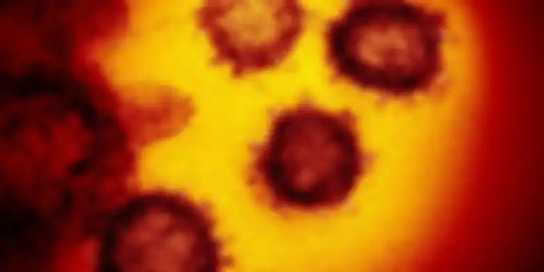 Gambar mikroskop elektron transmisi menunjukkan coronavirus baru yang muncul dari permukaan sel manusia.