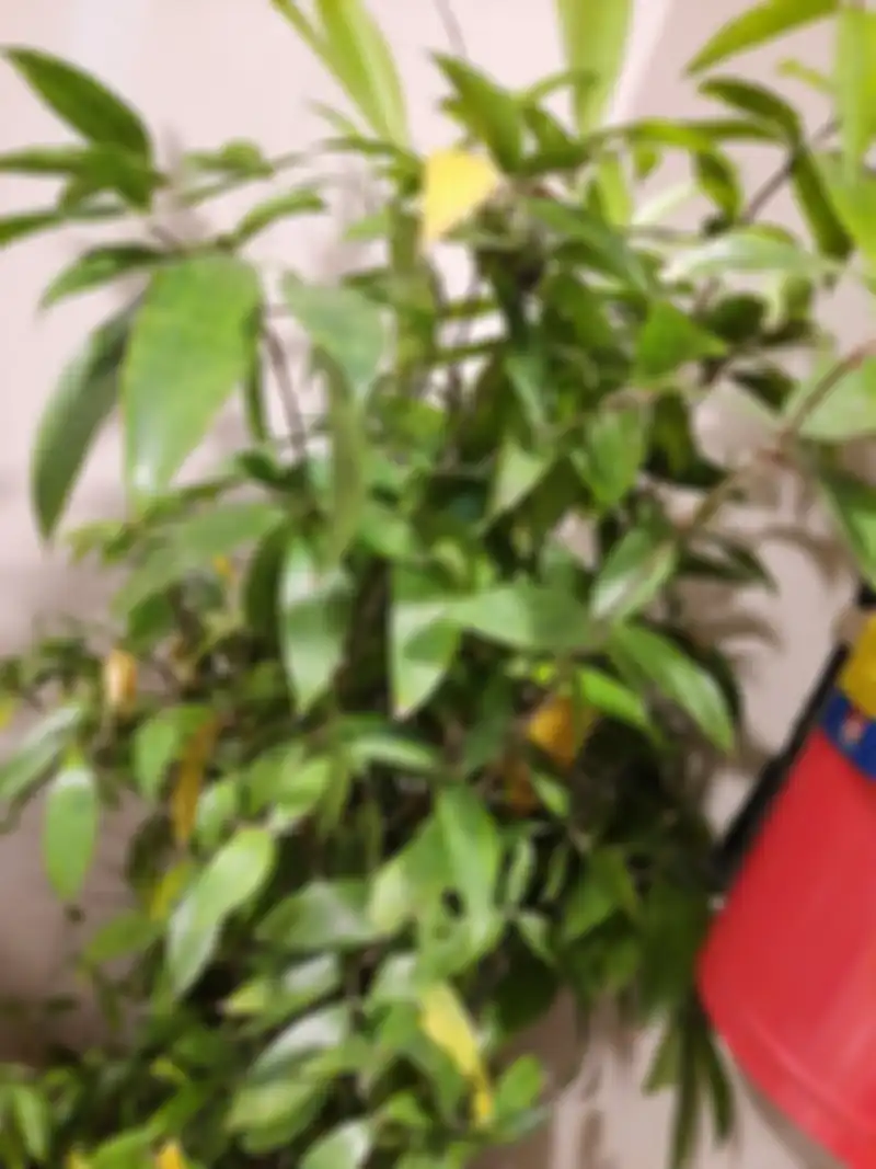 Galaxy A50s hasil foto indoor cahaya neon
