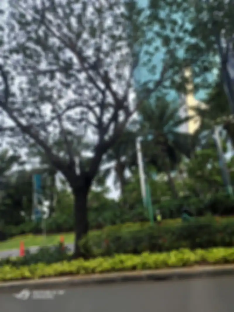 ROG Phone 2 hasil foto outdoor
