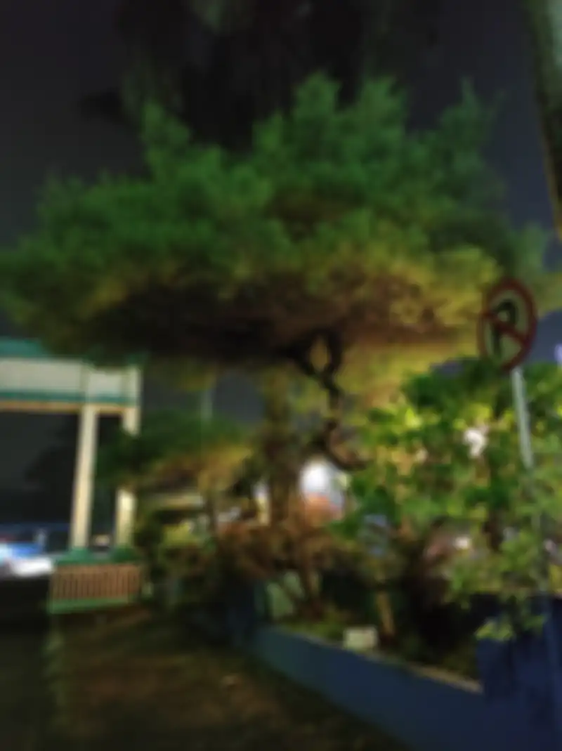 hasil foto realme 6 pro - mode portrait kondisi malam hari