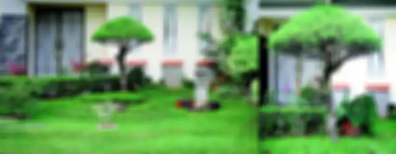 Ilustrasi taman.