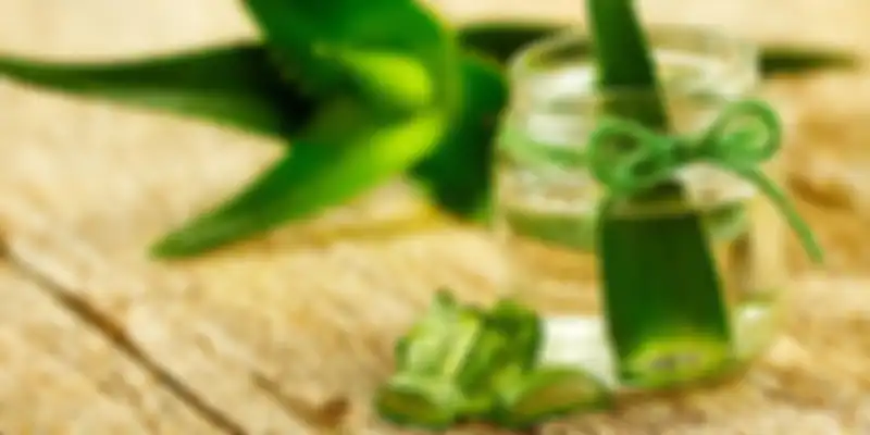 gel lidah buaya