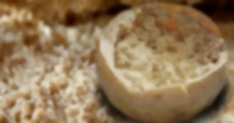 Casu Marzu