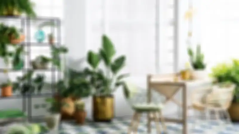 Indoor plant efektif kurangi polutan.