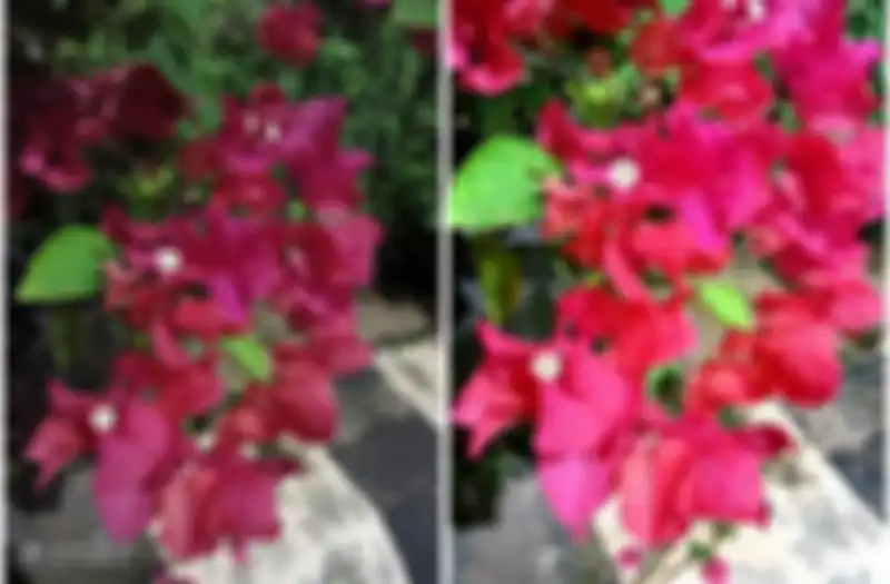 Beda hasil foto outdoor malam dengan mode Auto (kiri) dan Night (kanan) di realme C11